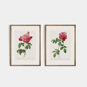 Set of 2 Antique Rose Drawings I Botanical Decor I Vintage Rose Drawing I Antique Floral Drawing I Vintage ART I Wedding Gift I nursery art