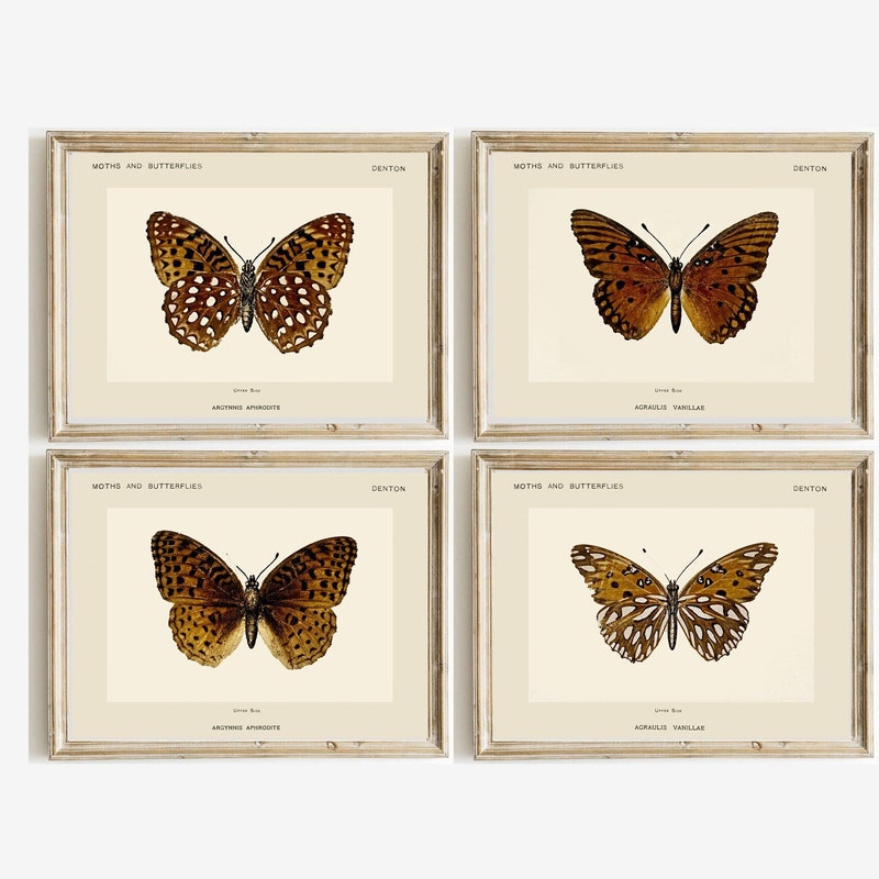 Vintage Butterfly - Etsy