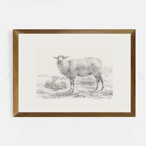 Vintage sheep art, nursery art, Vintage sheep shell, Easter art, kids room art, vintage sheep, DIGITAL Art, vintage Easter, rustic decor