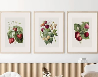 Minimalist Strawberry Fruit Drawing, Set of 3, Vintage Kitchen Decor, Botanical Vintage, Rustic Decor, Vintage Fruit, Farmhouse Home Decor