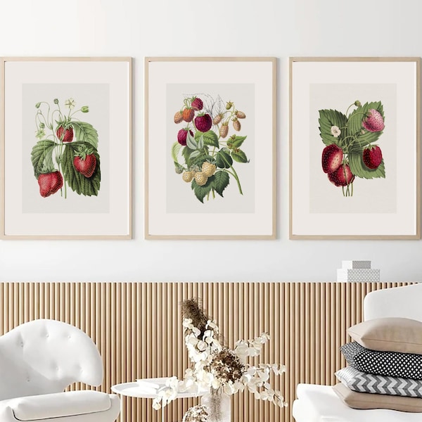 Dessin minimaliste de fruits de fraises, Ensemble de 3, décor de cuisine vintage, décor rustique, fruits vintage, décor de maison de ferme