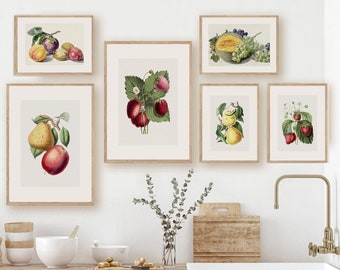 Könnte beinhalten: Fünf gerahmte botanische Drucke mit verschiedenen Früchten und Gemüse, darunter Birnen, Pflaumen, Erdbeeren, Melonen und Trauben. Die Drucke sind an einer weißen Wand über einer Küchentheke mit Spüle und einem Holzbrett angebracht.