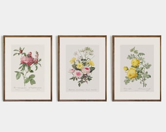 Shabby Chic Rose Art Set of 3 | Vintage Botanical Prints | Cottagecore Flower Decor | Rustic Farmhouse Romantic Gallery | French vintage set