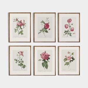 Minimalist Flower Drawing, Set of 6 boho prints, Vintage Rose, Vintage Botanical, Retro Rose Drawing, Floral Drawing, digital art, boho art