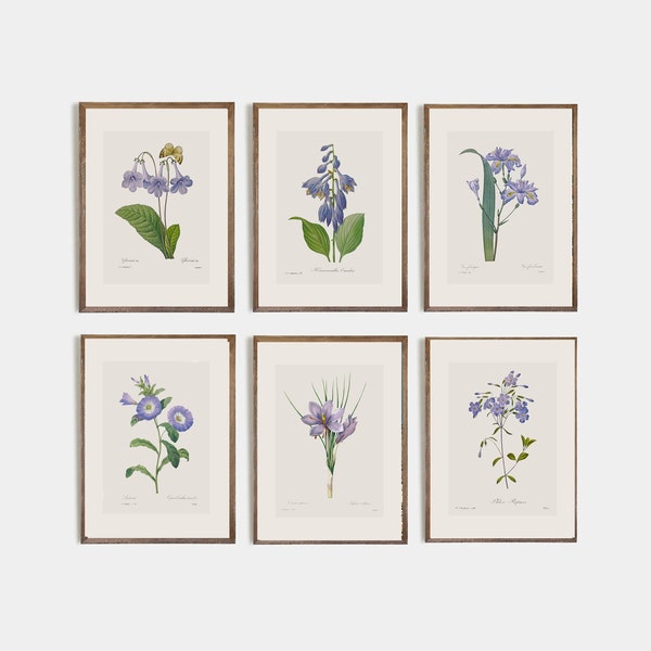 Minimalist Vintage Purple Flower Drawing, Set of 6 Antique Botanical Prints, Vintage Wildflower Drawing, Floral art with boder, nursery art