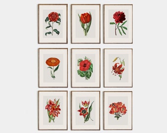 Set of 9 red vintage flower prints | red floral wall art | vintage botanical wall art | bohemian wall decoration | digital download