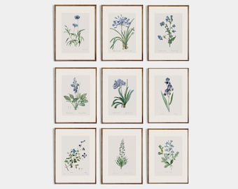 May include: Nine framed botanical prints featuring various blue flowers with green leaves. The prints are arranged in a grid pattern on a white wall.
