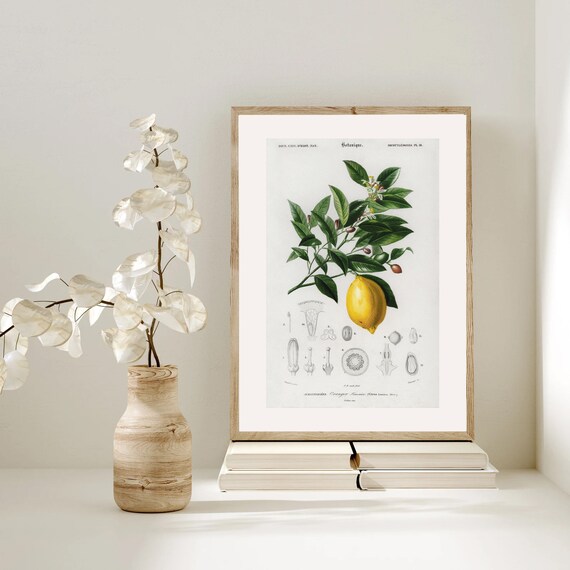 XIAOMA Set di 3 – Targa in metallo vintage da cucina – fiori – metallo, decorazioni da parete, arte per cucina, casa, giardino, soggiorno, retro, poster regalo, 30,5 x 30,5 cm SETA
