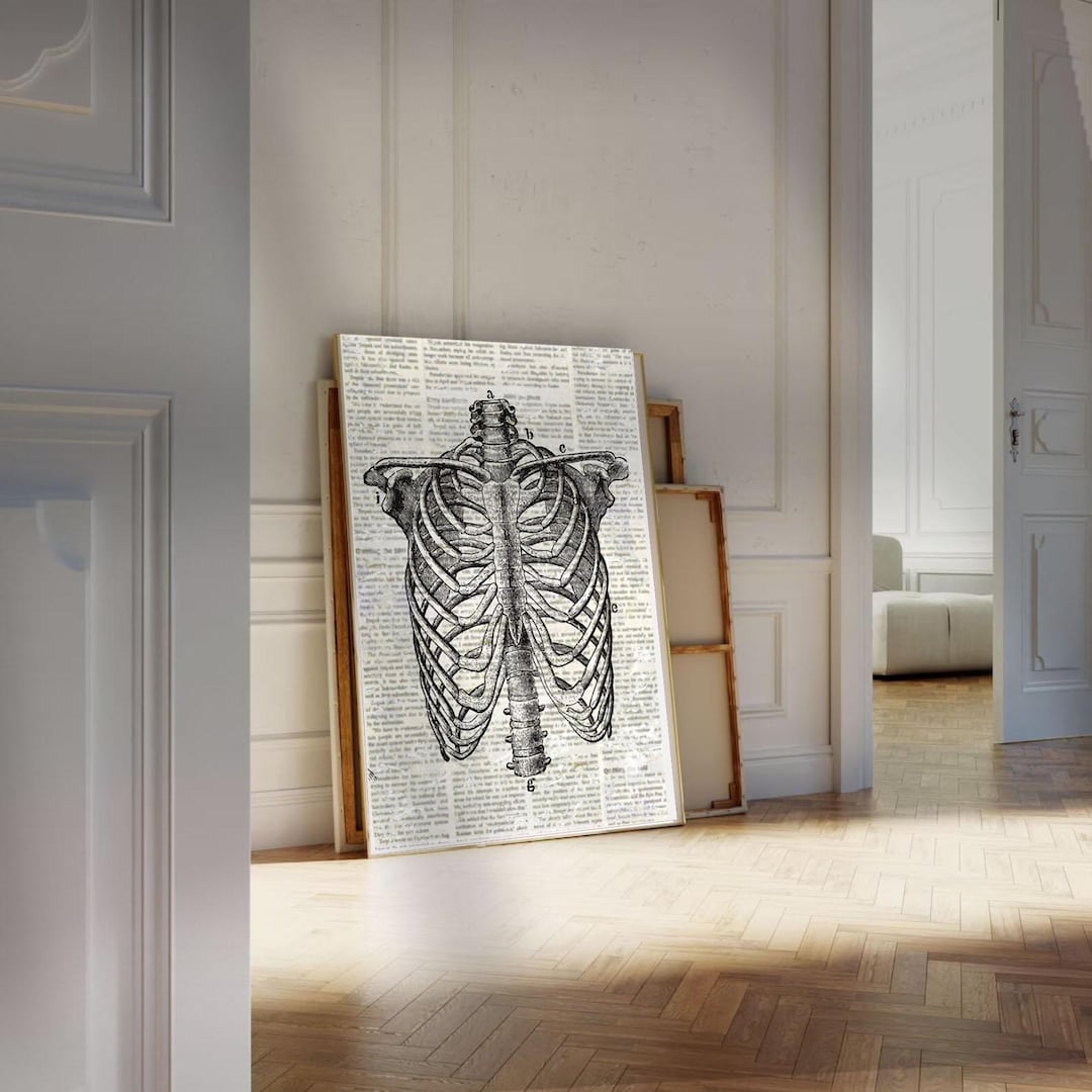 Vintage Ribcage Anatomy Wall Art | Gothic Medical Skeleton Print ...