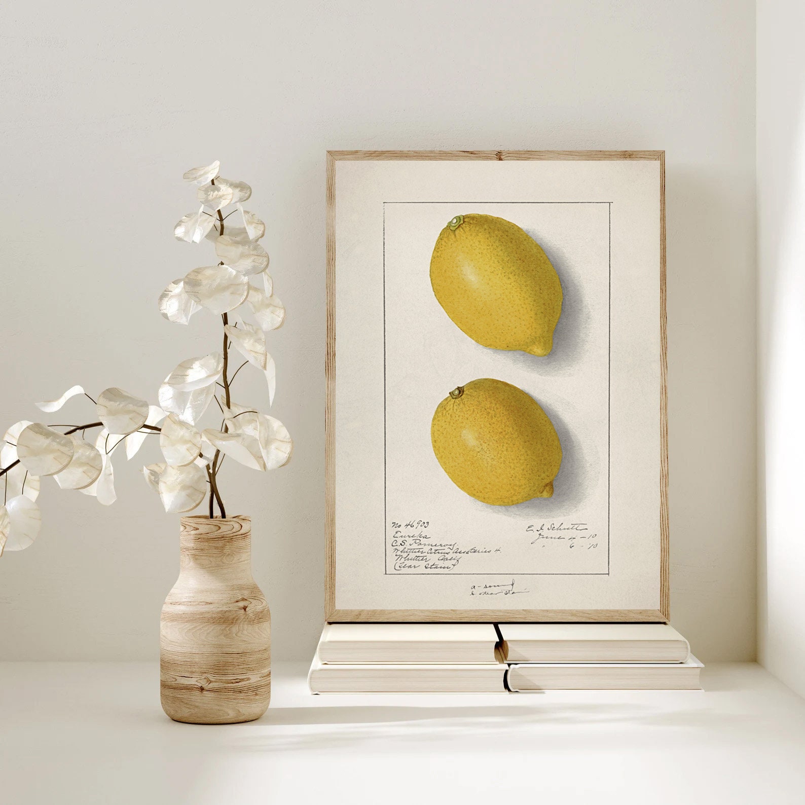 Vintage Lemon Print, Lemon Botanical Print, Set of 3, Lemon Art ...