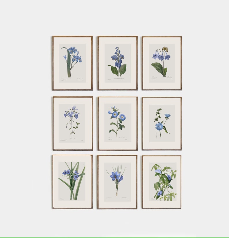 Set of 9 antique botanical prints, Minimalist drawing of vintage blue flowers, vintage drawing of wildflowers, nursery decor, flower art image 1