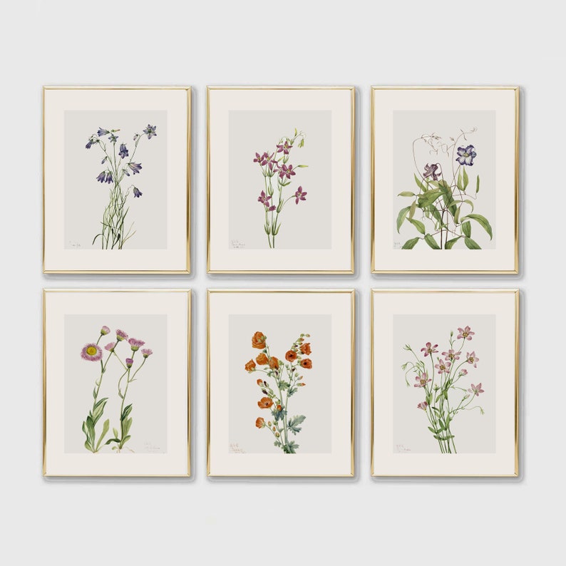 Set of 6 Vintage Botanical Prints | Botanical Wall Art | Vintage ...