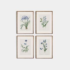 Ensemble de 4 dessins de fleurs bleus vintage, lot de 4 impressions botaniques antiques, art de fleurs sauvages, Dessin floral minimaliste