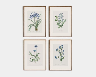 Set of 4 Vintage Blue Flower Drawings, Set of 4 Antique Botanical Prints, Vintage Wildflower Drawing, Minimalist Floral art, wedding gift