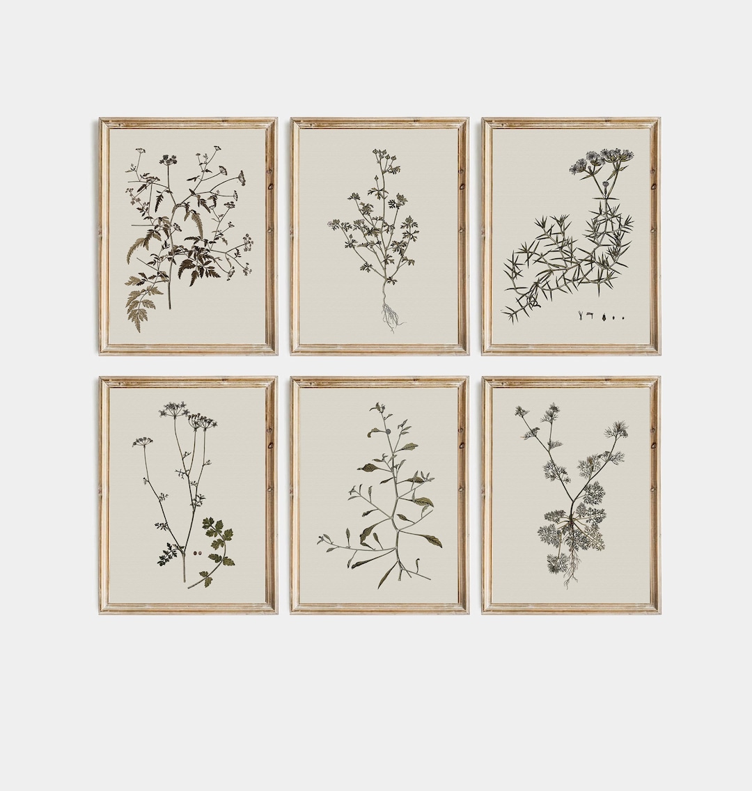 Botanical Gallery Wall Art Set of 6 | Minimalist Plant Drawings ...