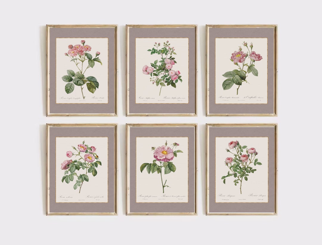 Vintage Botanical Gallery Wall Art | Set of 6 Elegant Prints | Antique ...