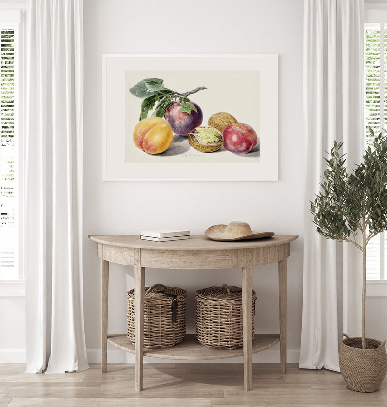 kitchen gallery wall art set of 6, vintage fruit... Kitchen Gallery Set of 6, Vintage Fruit Prints, Vintage Kitchen Art ...