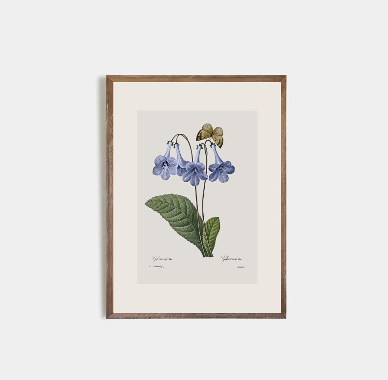 Set of 9 antique botanical prints, Minimalist drawing of vintage blue flowers, vintage drawing of wildflowers, nursery decor, flower art image 3