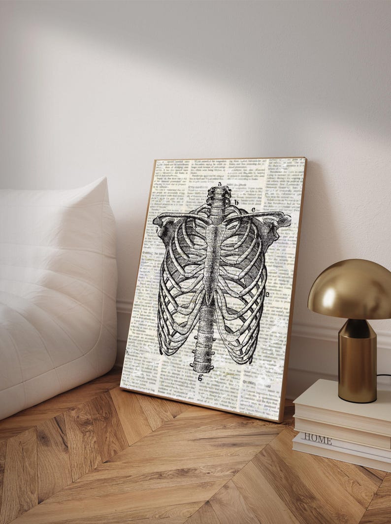 Vintage Ribcage Anatomy Wall Art | Gothic Medical Skeleton Print ...