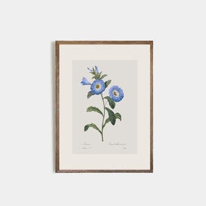 Set of 9 antique botanical prints, Minimalist drawing of vintage blue flowers, vintage drawing of wildflowers, nursery decor, flower art image 8