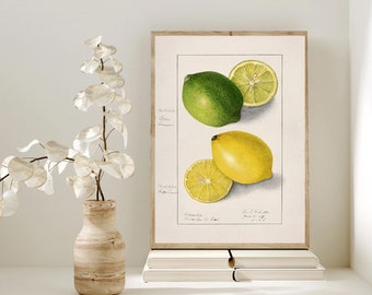 ヴィンテージレモンプリント、ボタニカルレモンアート、3個セット