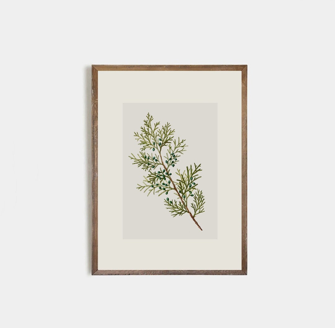 Printable Christmas Wall Art Retro Christmas Botanical Art - Etsy