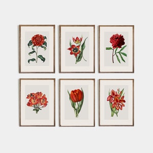 Set of 6 red vintage flower prints | red floral wall art | vintage botanical wall art | minimalist poster | bohemian wall art I digital art