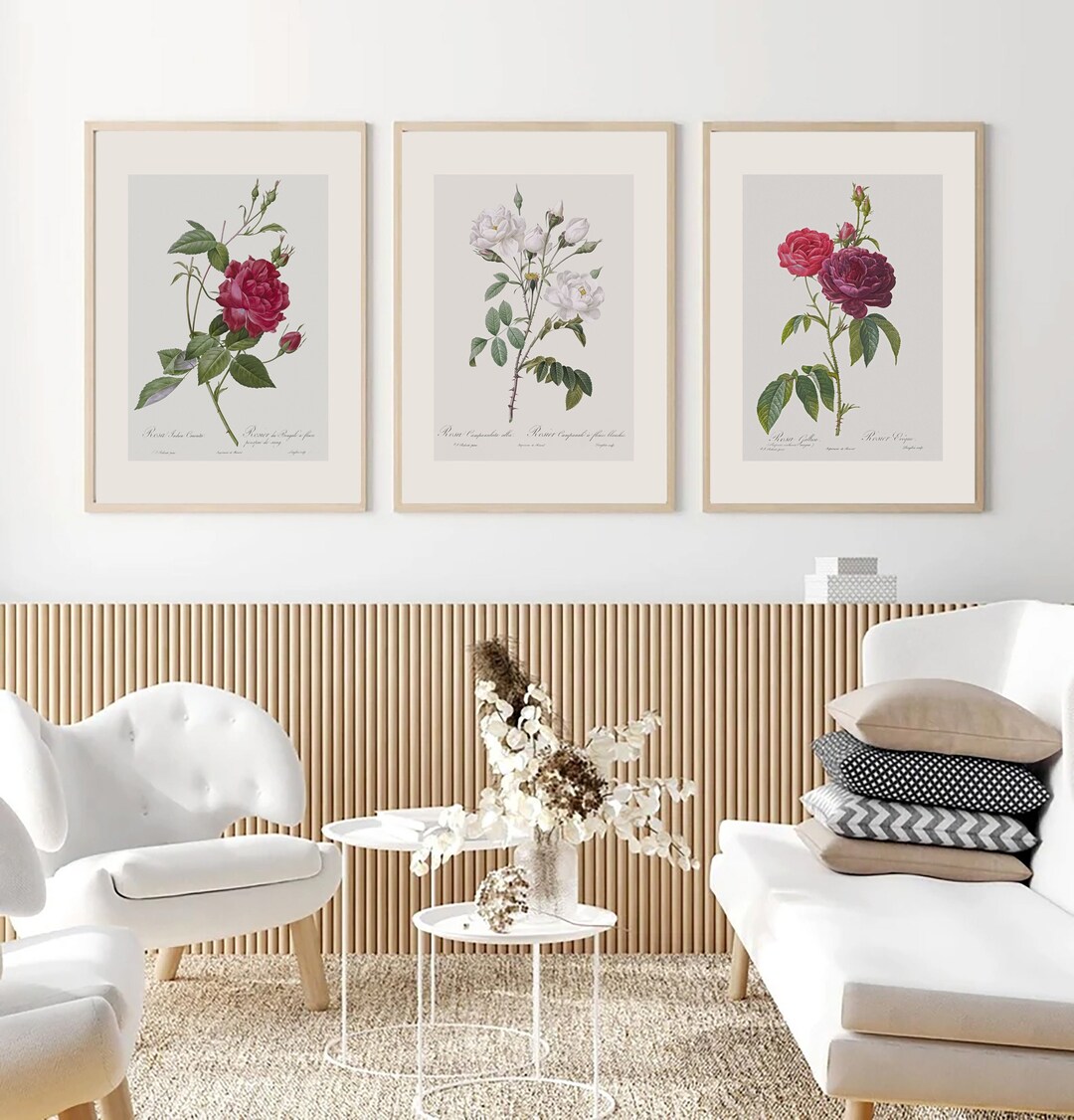Vintage Rose Wall Art Set of 3 | Botanical Prints | French Country ...