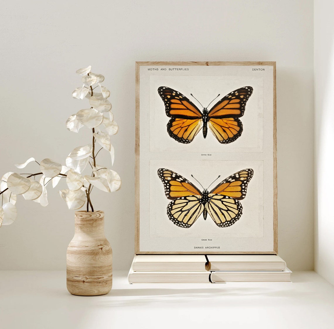 Abstract Vintage Butterfly Wall Art