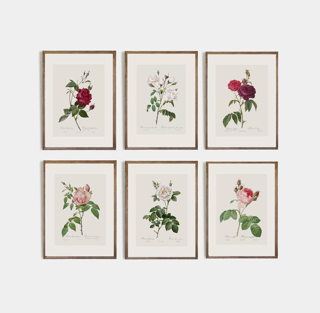 Vintage Roses Wall Art Prints, Botanical Poster, Botanical Decor