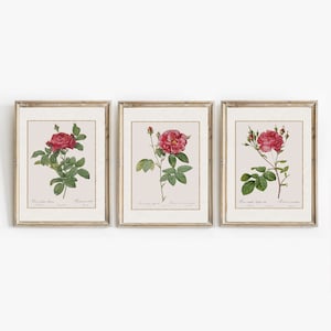 French country decor | Vintage Flower Gallery Wall Set | 3 Vintage PRINTS | farmhouse wall decor | cottagecore prints | printable wall art