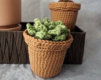Crocheted Potted Plant