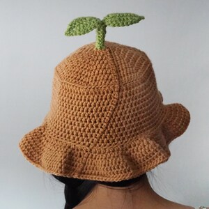 May include: A brown crocheted bucket hat with a green leaf on top. The hat has a wide brim and a ruffled edge.