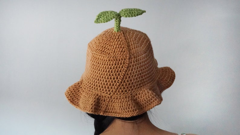 May include: A brown crocheted bucket hat with a green leaf on top. The hat has a wide brim and a ruffled edge.