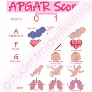 APGAR Score - Digital Download for Midwifery Notes
