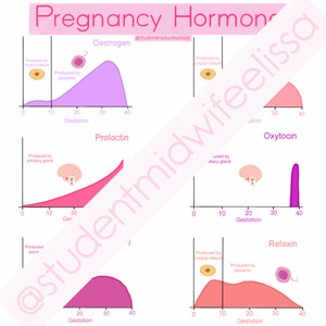 May include: A chart showing the levels of different hormones during pregnancy. The hormones are estrogen, prolactin, oxytocin, and relaxin. The chart shows how the levels of each hormone change over the course of pregnancy.