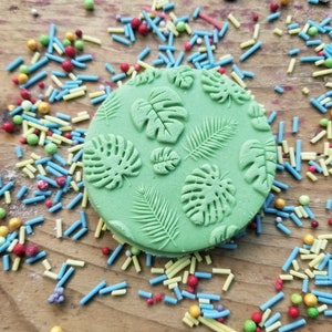 Leaf jungle garden- wild one - acrylic  debosser embosser stamp - personalised icing stamp - cupcakes - birthday - personalised cakes