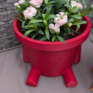 May include: A red planter with a smiling face design, holding a cluster of pink flowers and green foliage. The planter has four short legs. The flowers are in full bloom, adding a touch of color to the scene.