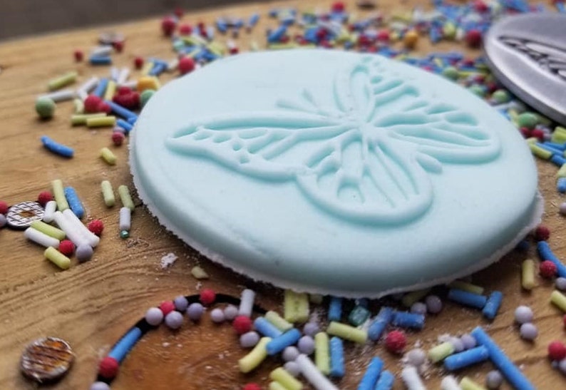 May include: A light blue fondant cookie with a butterfly design. The cookie is surrounded by colorful sprinkles.