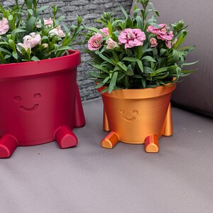 May include: Two whimsical flower pots, one red and one gold, each with a smiling face and small legs. The pots are filled with green foliage and pink flowers. A fun and unique addition to any home or garden.
