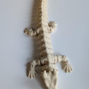 May include: A white articulated plastic toy lizard with a segmented body and a detailed head.