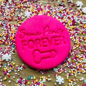 May include: Pink round cookie cutter with the text "Same Paw-it Forever" and a bone shape in the center. The cookie cutter is surrounded by colorful sprinkles.