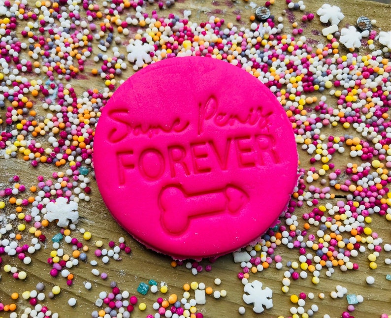 May include: Pink round cookie cutter with the text "Same Paw-it Forever" and a bone shape in the center. The cookie cutter is surrounded by colorful sprinkles.