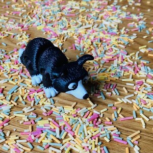 May include: A black and white toy dog figurine with blue eyes, lying on a wooden surface covered in colorful sprinkles.