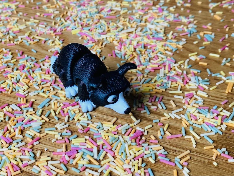 May include: A black and white toy dog figurine with blue eyes, lying on a wooden surface covered in colorful sprinkles.