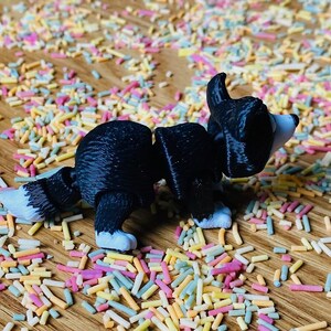 May include: A black and white toy dog figurine with a white tail and paws. The figurine is standing on a surface covered in colorful sprinkles.