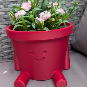 May include: A red planter pot with a smiling face design, holding a cluster of pink flowers and green foliage. The pot has four small legs. A decorative item for indoor or outdoor use.