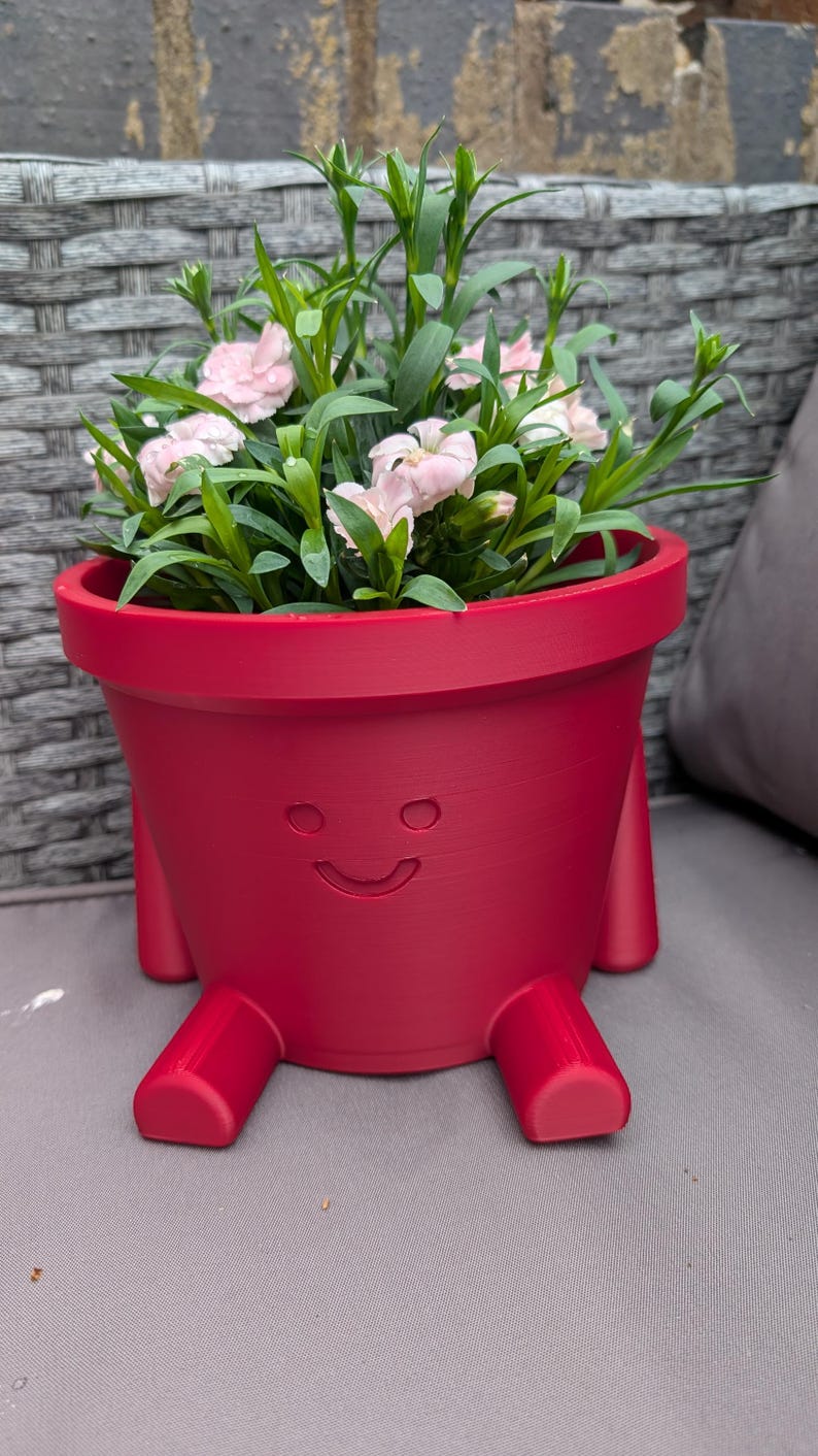 May include: A red planter pot with a smiling face design, holding a cluster of pink flowers and green foliage. The pot has four small legs. A decorative item for indoor or outdoor use.