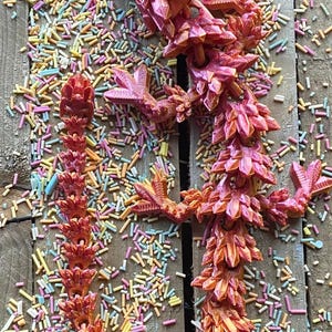 May include: A bright pink and orange 3D printed dragon figurine with a spiky, crystal-like design. The dragon is posed in a standing position with its wings spread out. The figurine is surrounded by colorful sprinkles.