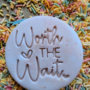 May include: A light pink, round cookie with the words "Worth The Wait" embossed on the surface. The cookie is surrounded by colorful sprinkles in shades of yellow, orange, pink, and blue.